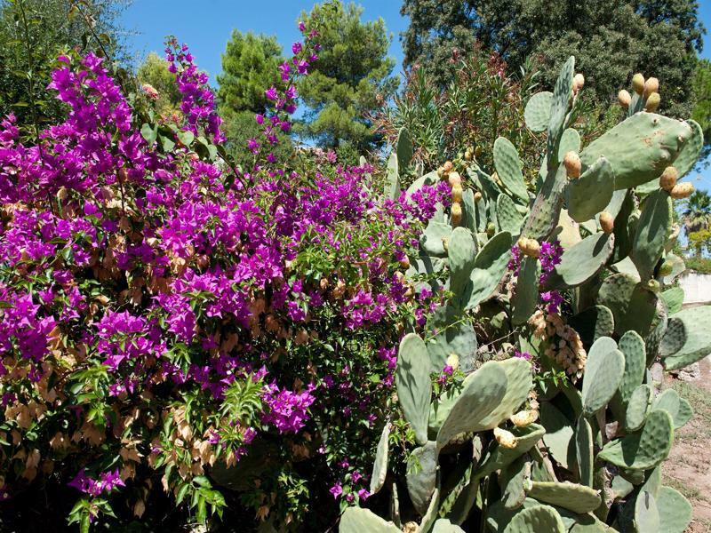 Ostuni A Mare Ξενοδοχείο Εξωτερικό φωτογραφία